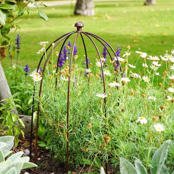 Ivyline Outdoor Plant Support