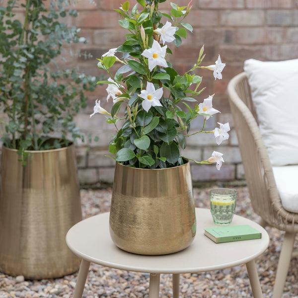 Ivyline Outdoor Prescot Planter Set Of Two