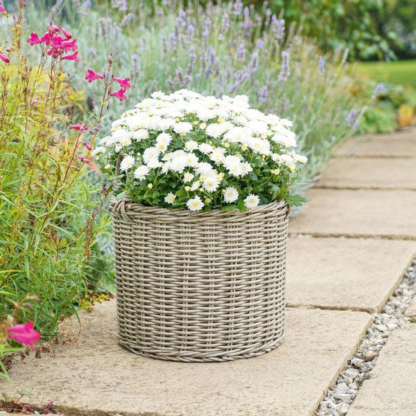Ivyline Polyrattan Set Of Two Lined Planters