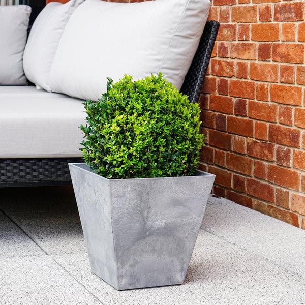 Ivyline Pot Ella