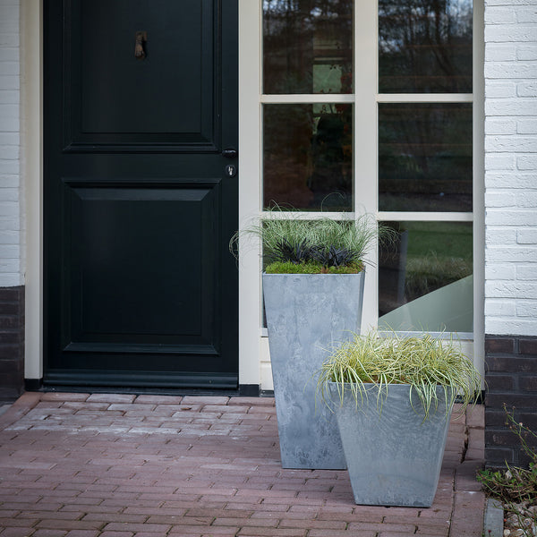 Ivyline Pot Ella