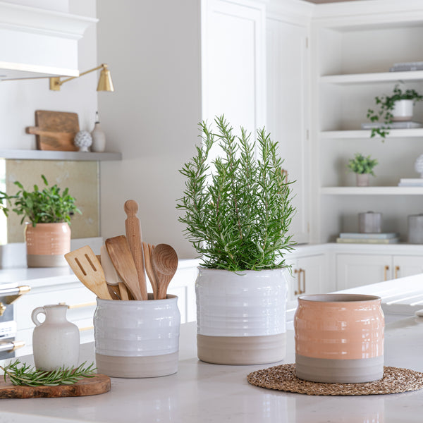 Ivyline Puro Lipped Gloss Ripple Planter