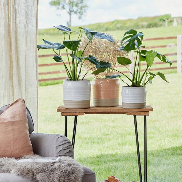 Ivyline Puro Lipped Gloss Ripple Planter