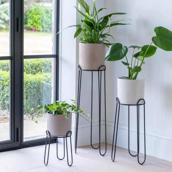 Ivyline Saluzzo Plant Stand