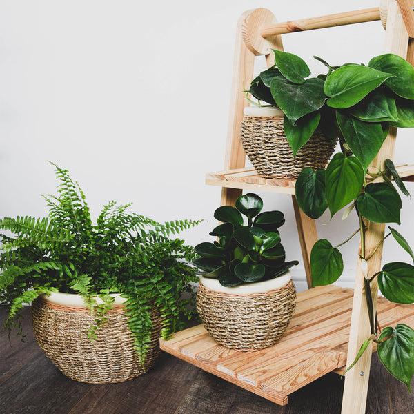 Ivyline Seagrass Pot Cover Set Of 2