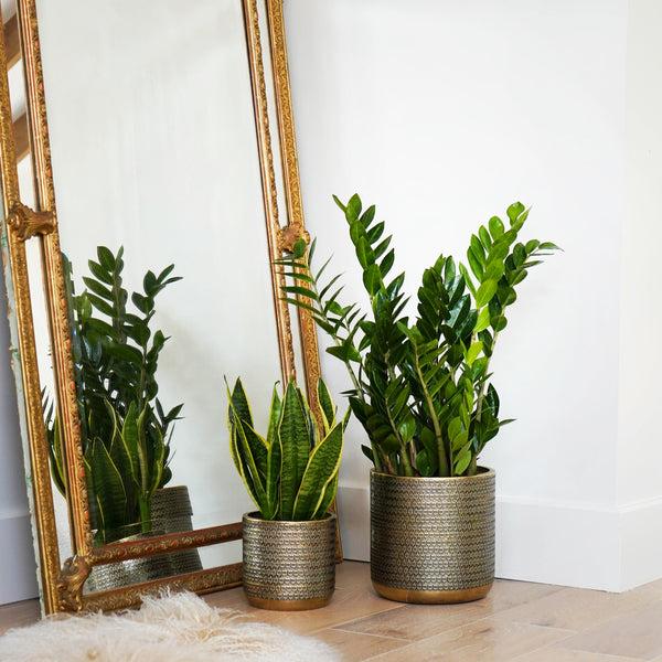 Ivyline Solis Embossed Planter Gold
