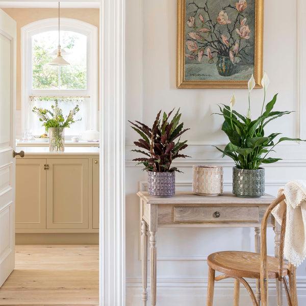 Ivyline Tarah Textured Glaze Planter