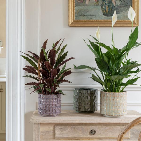 ivyline Tarah Textured Glaze Planter