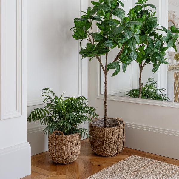 ivyline Tenno Natural Basket Set of 3