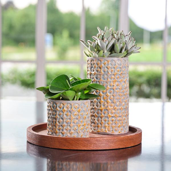 Ivyline Terni Planter