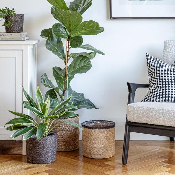 Ivyline Theo Rim Basket Set Of 2