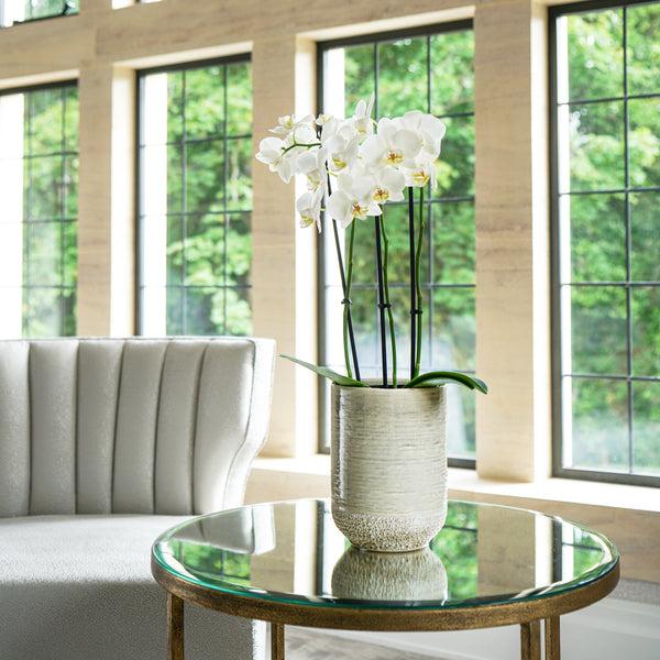 Ivyline Vasto Planter