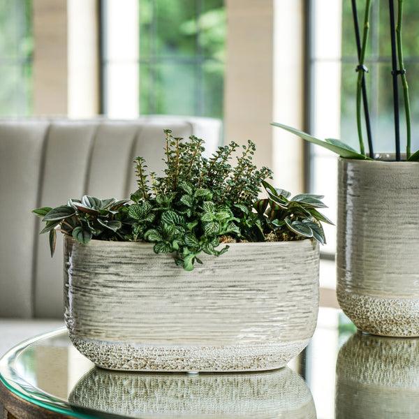 Ivyline Vasto Planter