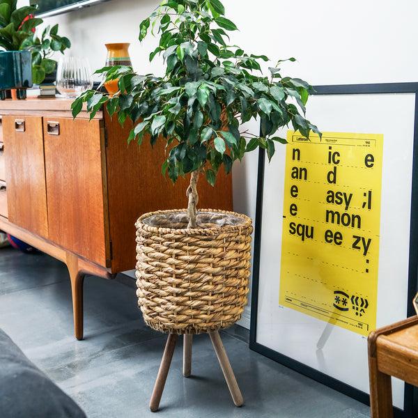 Ivyline Water Hyacinth Lined Basket On Legs