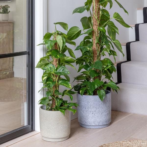 Ivyline Wesley Marble Planter