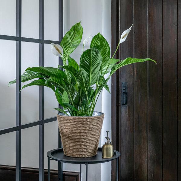 Ivyline Jute/Galvanised Steel Christmas Tree Bucket