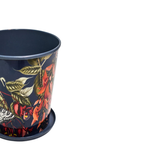 Ivyline Kew Temperate House 14Cm Planter With Saucer