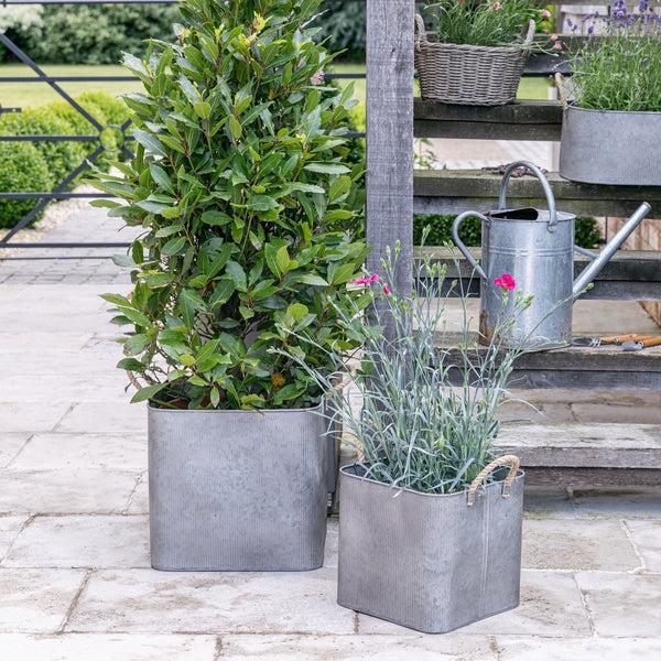 Ivyline Outdoor Galvanised Rope Handle Square Planter Set Of Two