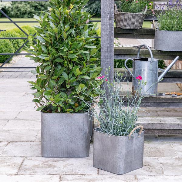 ivyline Outdoor Galvanised Rope Handle Square Planter Set of Two