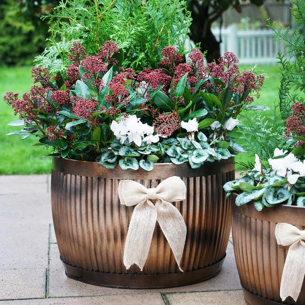 Ivyline Outdoor Hampton Copper Bowl Planter Set Of 2