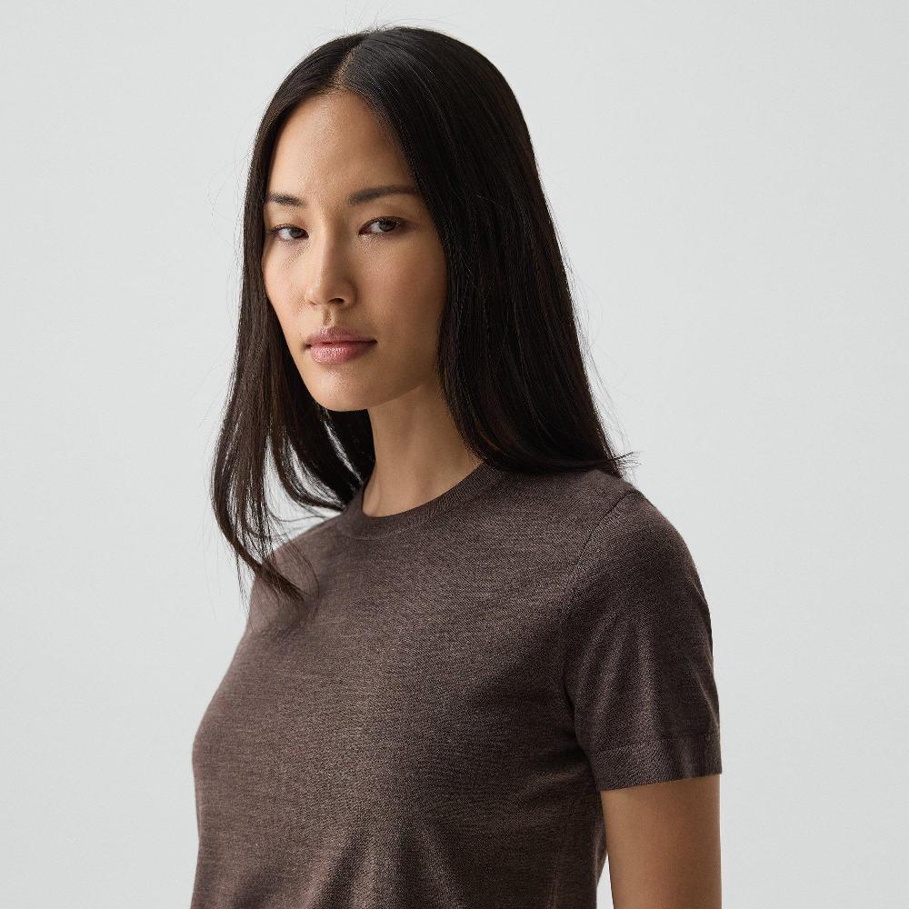 J Brand Sweater Tee In Regal Wool Walnut Melange