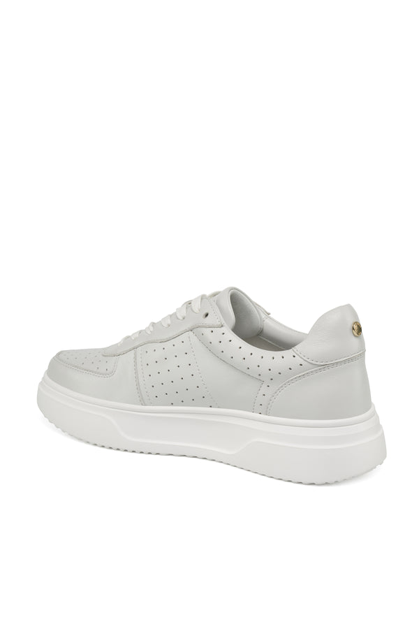 J Slides FELIX White