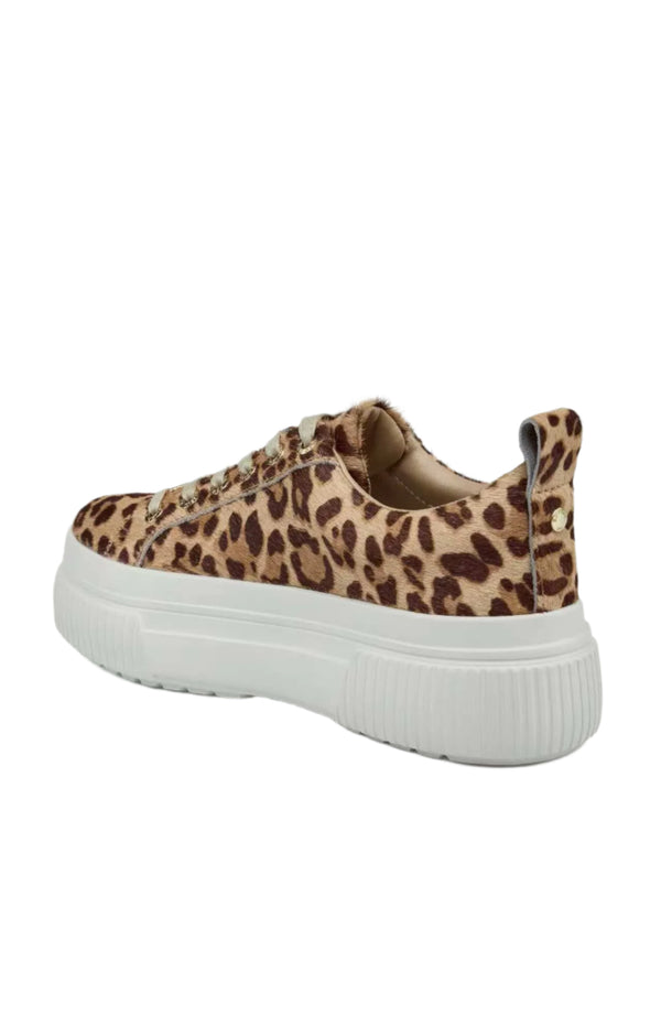 J Slides WEST Leopard