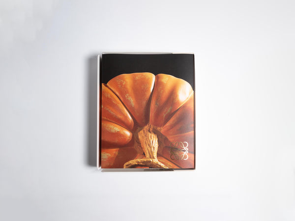 j.w.anderson Crafted world: jonathan andersons loewe