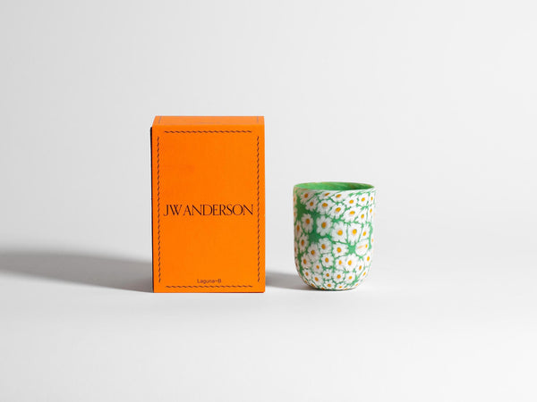 J.w.anderson Full Murrina Glass In White & Green