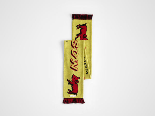 j.w.anderson Piglet football knitted scarf