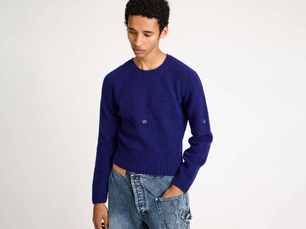 J.w.anderson Sleeve Embroidered Crew Neck Jumper In Violet