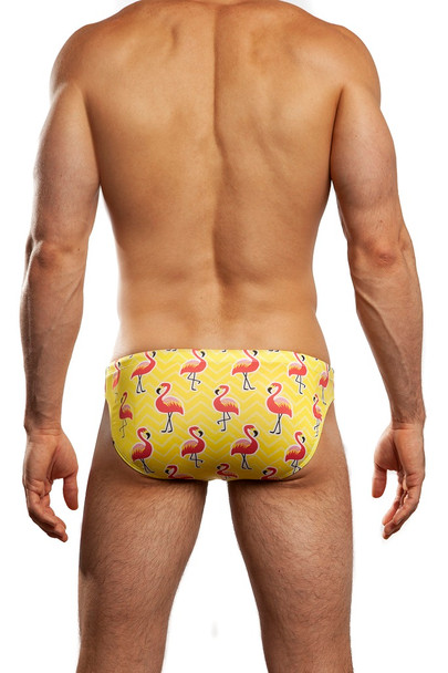Jack Adams Flamingo 1" Swim Brief
