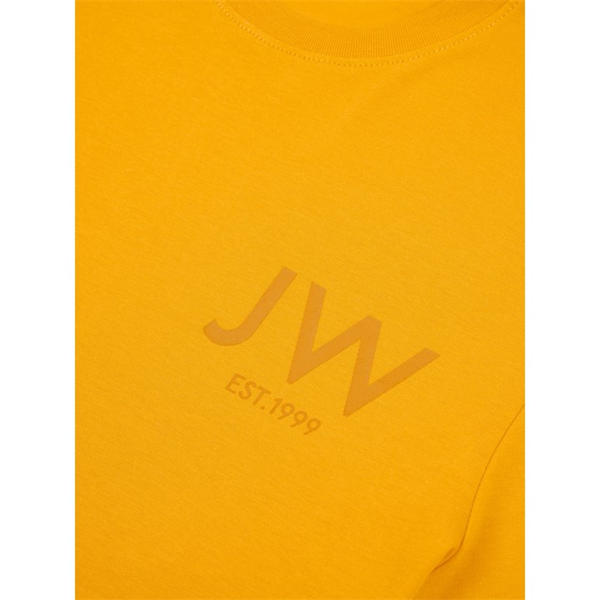 Jack Wills Graphic Logo T Shirt Mango Mojito
