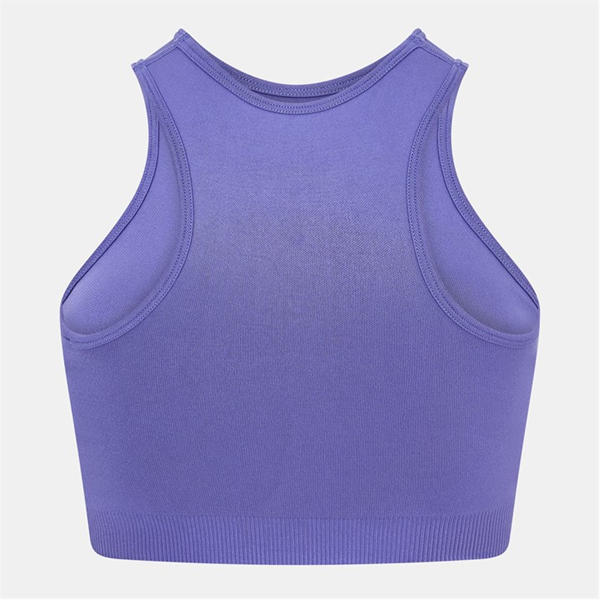 Jack Wills Jacquard WB Bra Purple