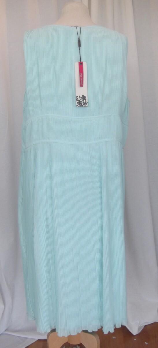 Jacques Vert MINT BRULEE EMPIRE STYLE SUNRAY PLEATED CHIFFON DRESS BRAND NEW WITH TAGS & MATCHING MINT BRULEE NOTCH NECK JACKET