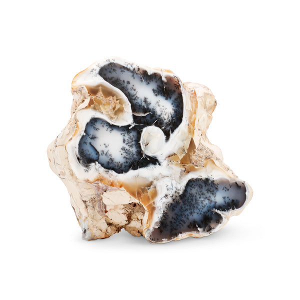 jacquie aiche Freeform Agate