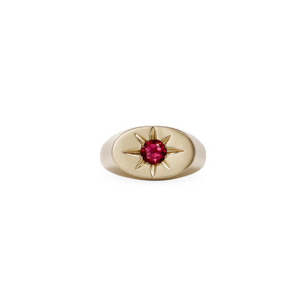 jacquie aiche Pink Sapphire Starburst Oval Signet Ring