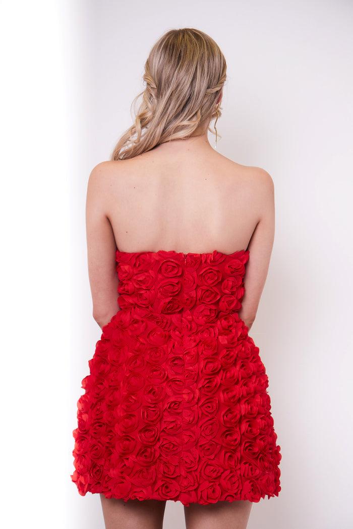 Jaded Rose Jumi Red Rose Appliqué A Line Mini Dress