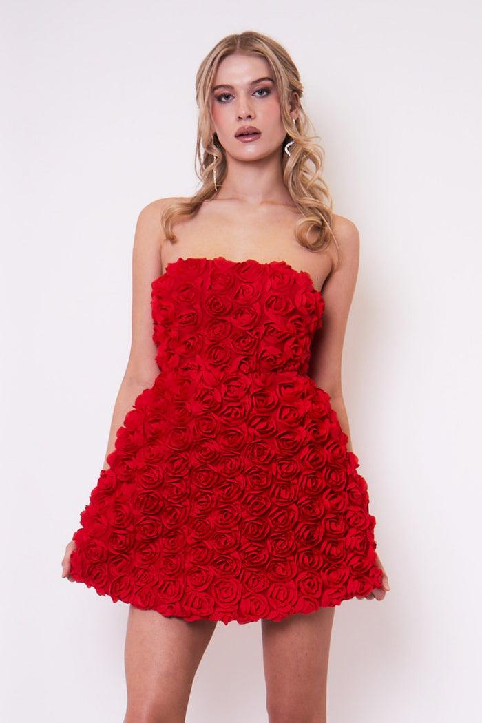 Jaded Rose Jumi Red Rose Appliqué A Line Mini Dress