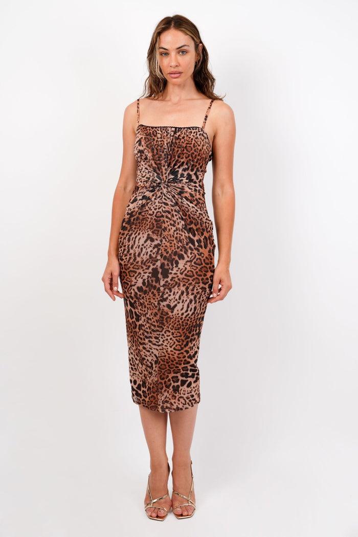 Jaded Rose Kalia Leopard Midaxi Dress With Twist Cinch