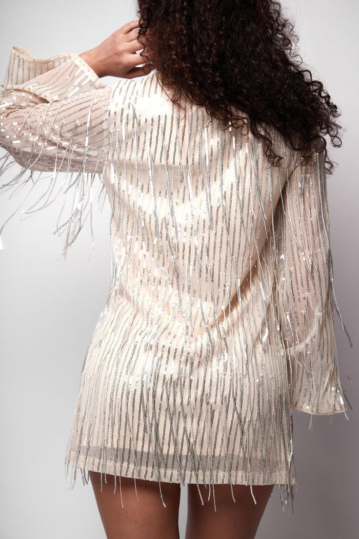 Jaded Rose Kimber Tunic Shift Dress In Silver Tassel Sequin