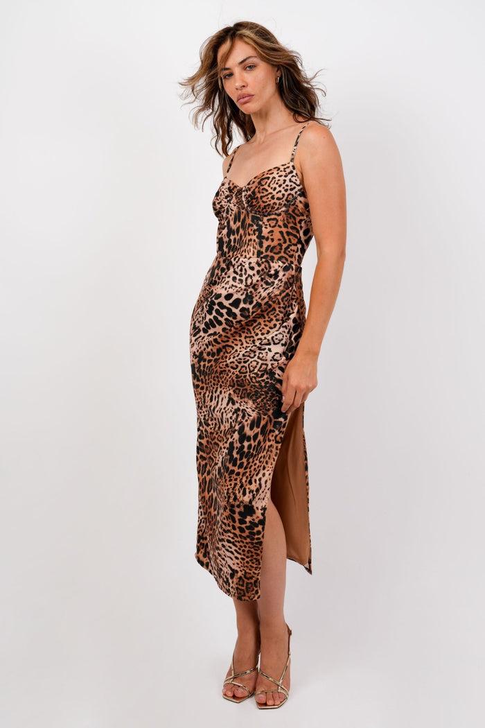 Jaded Rose Penna Midaxi Dress In Leopard Bustier Detail