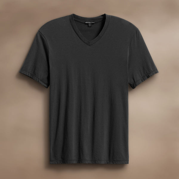 james perse Luxe Lotus Jersey V Neck Carbon