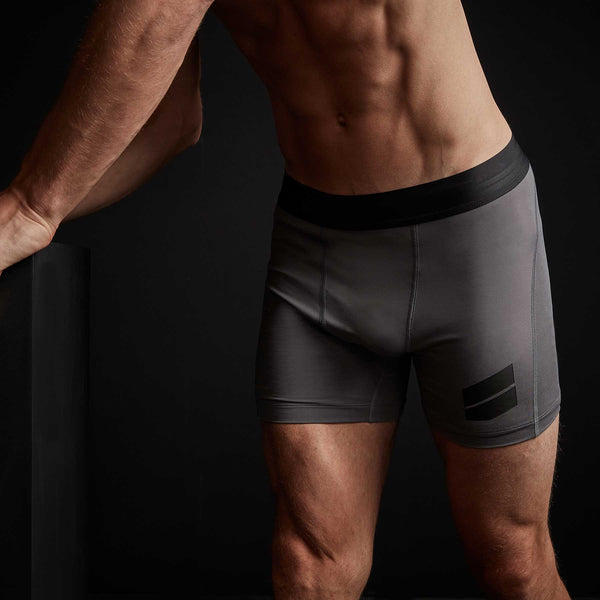 james perse Sport Boxer Short Raccoon Grey