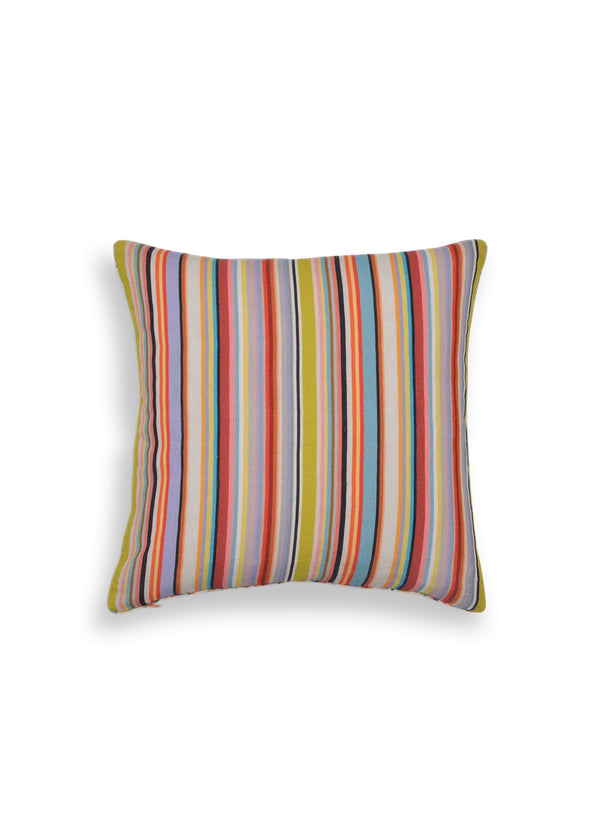 Janavi Explorer Monkey