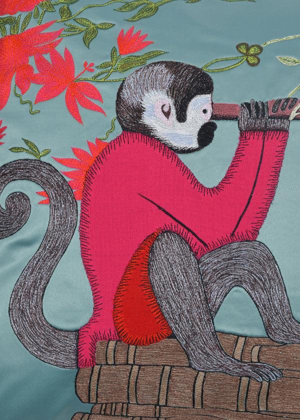 Janavi Explorer Monkey