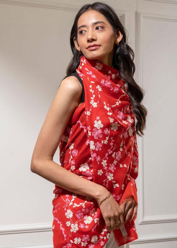 Janavi Sakura In Cashmere