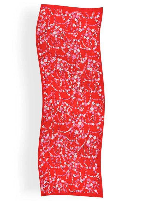 Janavi Sakura In Cashmere