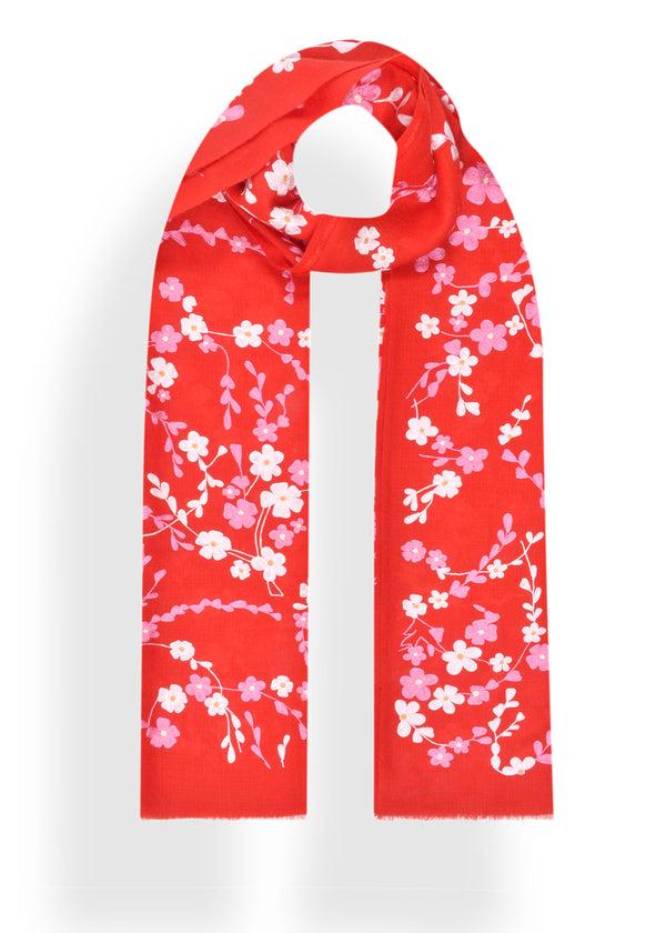 janavi Sakura in Cashmere