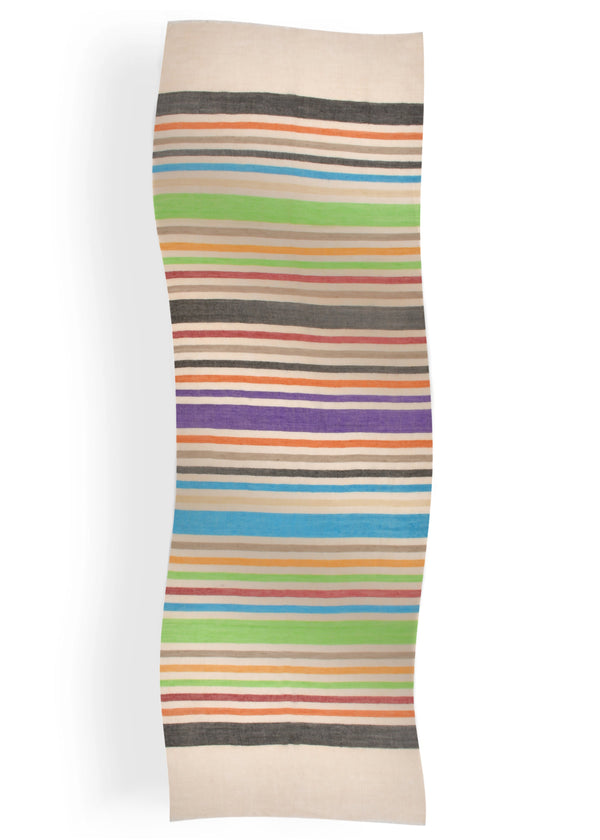 Janavi Stripes Border In Cashmere